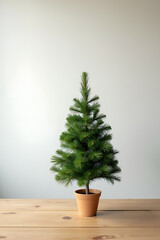 Poster - A small pine tree is placed on a wooden table in front of a simple background for a mock up._00001_