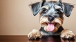 © ธิดาพร สูญราช - A happy small dog with a playful expression, resting its paws on a tabletop.