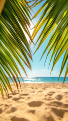 Dynamic closeup of coconut tree fronds tropical beach nature photography bright environment upward view serenity