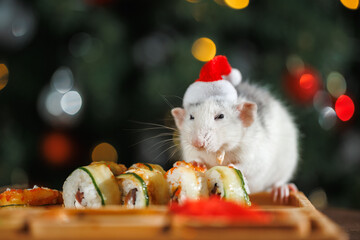 Poster - A colorful rat in a red Santa hat celebrates the New Year. A Christmas tree with a blinking garland and balls. Sushi and rolls on a wooden festive table. Asian cuisine on holiday.