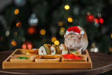 Poster - A colorful rat in a red Santa hat celebrates the New Year. A Christmas tree with a blinking garland and balls. Sushi and rolls on a wooden festive table. Asian cuisine on holiday.