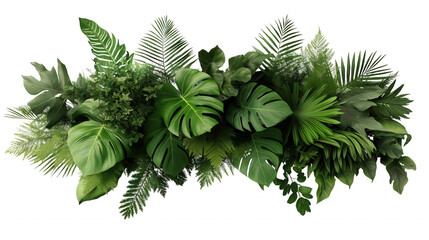 Wall Mural - A long green plant with leaves and a leafy stem