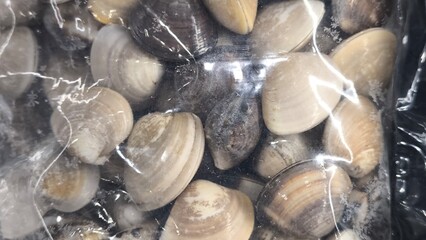 Wall Mural - Frozen clams in plastic bags