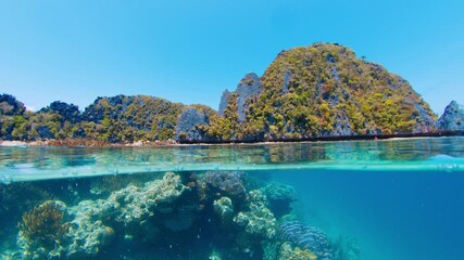 Wall Mural - Half-half split view showing a tropical island with lush vegetation and a coral reef teeming with marine life. Raja Ampat, Indonesia