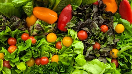 Wall Mural - Healthy vegetable salad. Fresh vegetables.