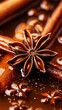 © Raul - Close-up of star anise and cinnamon sticks in rich syrup, showcasing intricate textures and warm colors.