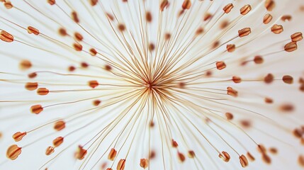 Poster - Lotus stamens radiating starburst nature macro photography white background close-up botanical beauty