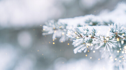 Wall Mural - christmas lights and fir branches. christmas tree outdoor.