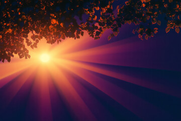Aufkleber - a bright sun shines through the leaves of a tree