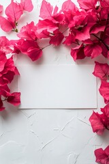 Wall Mural - Bougainvillea branches with vibrant pink flowers arranged artistically on a white background