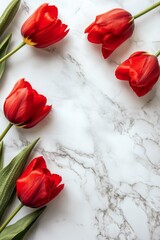 Wall Mural - Bright red tulips arranged on a marble surface for a fresh spring decor