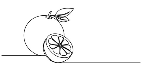 Aufkleber - Orange continuous one line drawing, fruit vector illustration, Orange Continuous Line drawing illustration. Linear Simple juicy tropical fruit isolated on white. Minimalistic modern style. Fresh. 