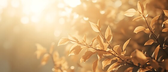 Poster - Glowing Autumn Leaves in Soft Natural Light Creating a Warm and Serene Atmosphere Perfect for Nature and Seasonal Themes