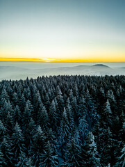 Wall Mural - Winterwanderung durch den Thüringer Wald bei Oberhof zur Blaue Stunde - Thüringen - Deutschland