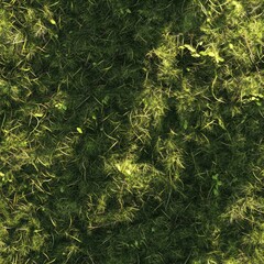 Canvas Print - Top view photo of mossy grass with subtle earth patches, seamless texture