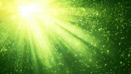 Poster - Dazzling Light Beam Illuminates the Forest in Vibrant Green Hues During the Golden Hour