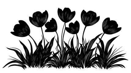 Wall Mural - A group of fringed tulips planted together in a landscaped garden, Plant Vector Graphic