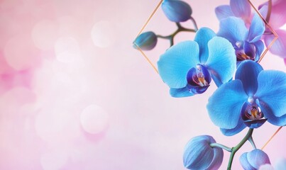 Poster - A blue flower with a purple center is in the center of a pink background