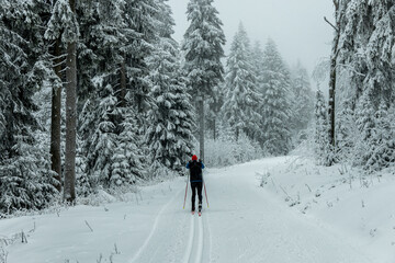 Wall Mural - Winterwanderung durch den Thüringer Wald bei Oberhof und dem Kanzlersgrund bei winterlichen Wetter - Thüringen - Deutschland