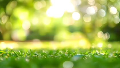 Wall Mural - blur background green park garden nature bright sunny forest. blurry outdoor park in spring time glo