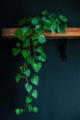 Wall Mural - Houseplant on shelf