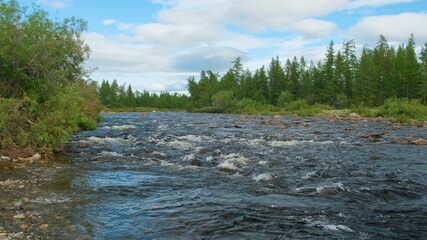 Aufkleber - A river with a lot of water and trees in the background. The water is moving fast and the trees are tall