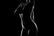 © Pixel-Shot - Silhouette of naked young woman on dark background