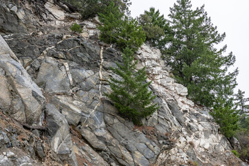 Wall Mural -  Mt Wilson Red Box Rd. San Gabriel Mountains, Los Angeles County, California. Quartz Diorite / Gray quartz diorite / Plutonic rocks. complexly intruded by dikes, sills and pods of leucogranitic rocks 