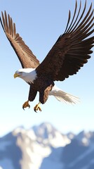 A single, ultra-detailed eagle soaring through the sky, isolated on a blue gradient background with sharp lighting emphasizing its outstretched wings and sharp talons