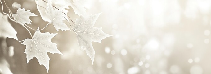 Aufkleber - Pale leaves with bokeh lights, muted background, nature concept.