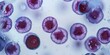 © xartproduction - Microscopic Exploration: Abstract Cellular Structures in Vibrant Purple Hues