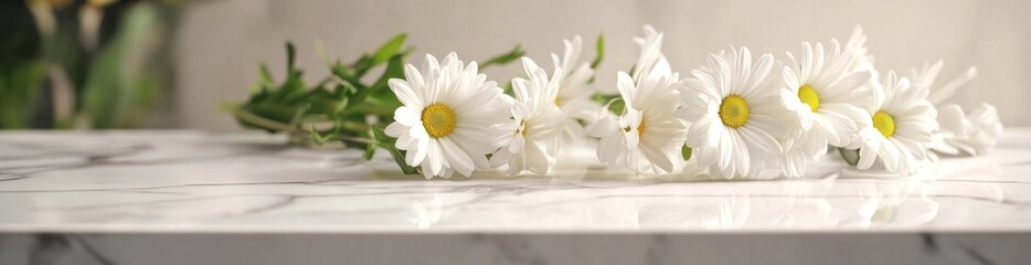 Poster - Daisies laid on marble counter.