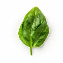 Wall Mural - spinach leaf , Isolated white background, flat lay