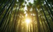© AiGallery - The sun casts its rays through the dense foliage of a bamboo forest, creating a sense of depth and dimensionality, greenery, bamboo grove