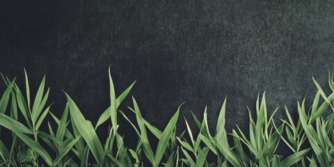 Poster - Contrast banner showcasing grass blades at the bottom, creating a natural border around an empty space for text or images