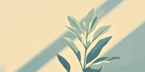 Poster - Contrast banner featuring seedlings and clean shadows in an empty space for fresh design ideas