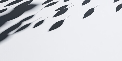 Aufkleber - Contrast banner showcasing drifting seeds and clean shadows inviting creative exploration and thoughtful design opportunities