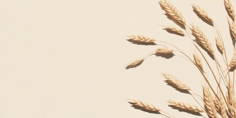 Aufkleber - Contrast empty space with drift seeds creating a serene image of nature's beauty