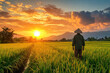 © Vovmar - Young asian farmer in bamboo hat working in rice fields at evening sunset. Beautiful natural landscape of asia. Generated by artificial intelligence