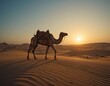 © Q-collection - Silhouette of camels in the desert at sunset with a vast sandy landscape and sky