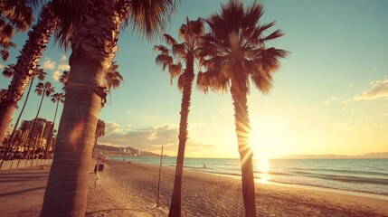 Wall Mural - serene sunset over palm-lined beach with warm glow of sunlight reflecting on calm ocean waves and go