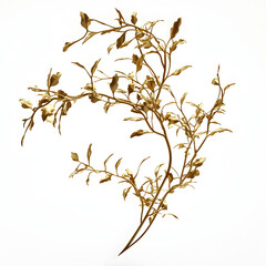 Wall Mural - 3D rendered illustration of golden branches/flora isolated on transparent background