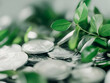 © YR Stock Collection - Esg investing trends climate focused growth with coins and leaves in natural environment