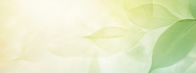 Wall Mural - A green leafy background with a leafy green leaf in the foreground