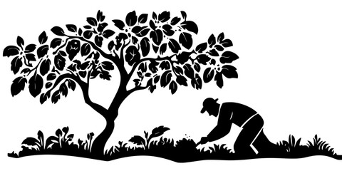  Gardener fertilizing the soil around the base of a mature fruit tree, Vector Graphic