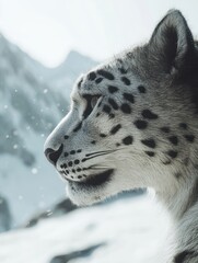 Poster - A close-up profile of a snow leopard against a mountainous backdrop.