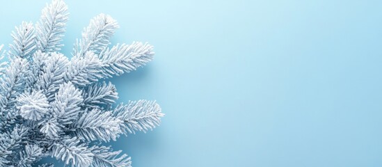 christmas flat lay with white fir tree branches on pastel blue background decorated with snow for ho
