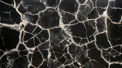 Poster - Textured cracked black surface with intricate patterns suitable for backgrounds and abstract designs.