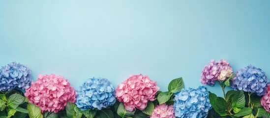 Aufkleber - Vibrant hydrangea flowers in pink and blue on a light blue background with space for custom text or messaging. Perfect for invitations or posters.