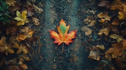 Poster - Scenic dirt road in forest with vibrant autumn leaves showcasing nature's beauty and seasonal change